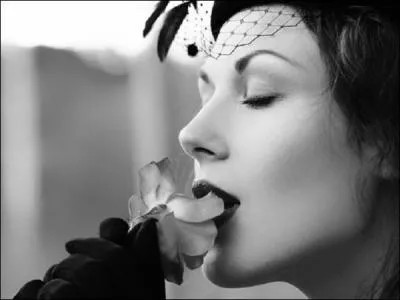 Qui a crit le livre  Belle du Seigneur  ?