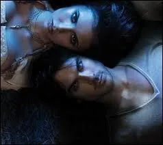 Que se passe-t-il entre Elena et Damon, lorsque ce dernier a t mordu par un loup-garou ?