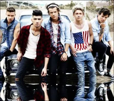 Qui chante :  Story of my life  ?