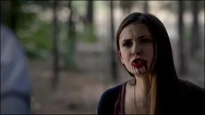 Qui est Elena pour Stefan ? (saison 1, 2, 3)