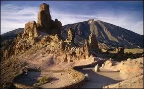 Quel animal a donné son nom aux îles Canaries ?