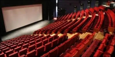 En quelle anne le dessin anim est-il sorti en France ?