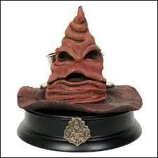 Le 1er propritaire du Choixpeau est :