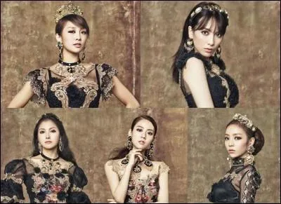 Quel est ce groupe et qui est le leader ?