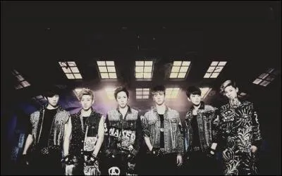 Quel est ce groupe et qui est le leader ?