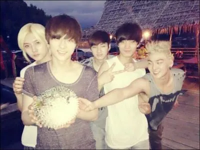 Quel est ce groupe et qui est le leader ?