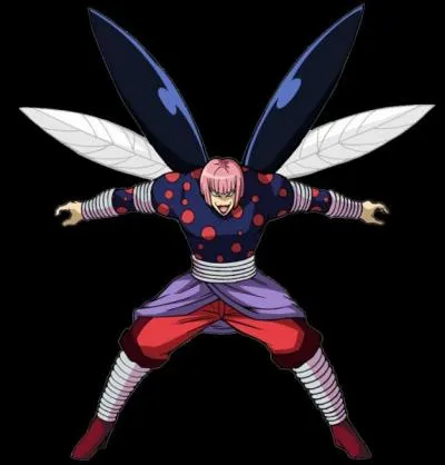 Qui est ce personnage ?