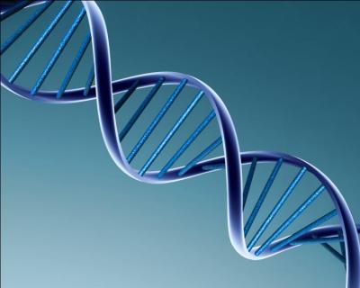 Quel est le nom complet de l'ADN ?
