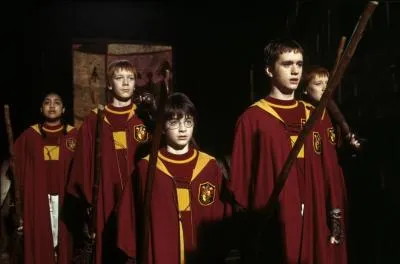 Quelle ide eut Hermione lors d'un match de Quidditch particulirement pluvieux pour que toute l'quipe de Gryffondor puisse voir malgr la pluie (troisime livre) ?