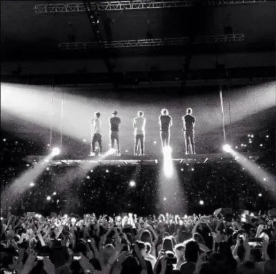 Qui sont les deux clibataires du groupe ?