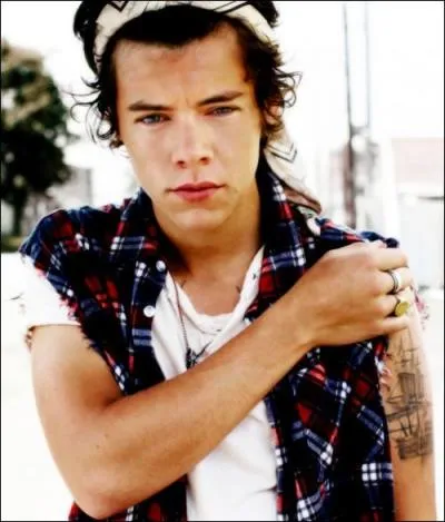 Quel ge a Harry Styles ? (2014)