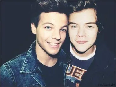 Comment appelle-t-on ceux qui croient en Louis et Harry ?