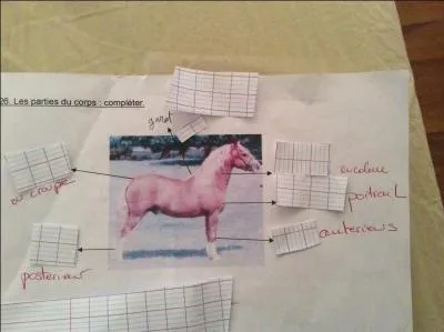 Les rponses donnes sont bonnes.