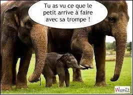 Le combat tait annonc   la rgulire , aucun coup de Jarnac. Vous avez donc t de taille. Oui, mais encore ?