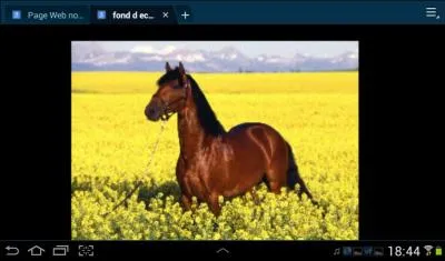 Comment appelle-t-on cette robe ?