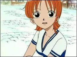 'One Piece' : elle fait partie de l'quipage de Monkey D Luffy et elle l'accompagne dans ses aventures. Qui est-elle ?