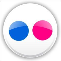 Quiz Logos