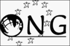 Quelle est la signification du sigle ONG ?