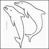 Le dauphin est-il une espce protge en France ?