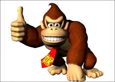 Un nouveau jeu de Donkey Kong va bientt sortir sur Wii U, quel est son nom ?