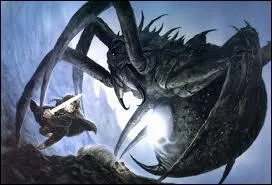 Arachne du col de Cirith Ungol s'appelait autrefois...