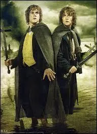 Quel est le lien de parent unissant Peregrin Touque  Meriadoc Brandebouc ?