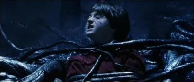 Il y a deux faons de rsister au Filet du Diable, lesquelles ?