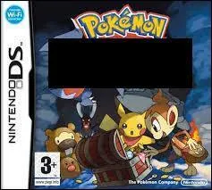 Quel est le nom de ce jeu Pokmon sur DS ?