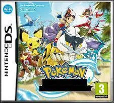 Quel est le nom de ce jeu Pokmon sur DS ?