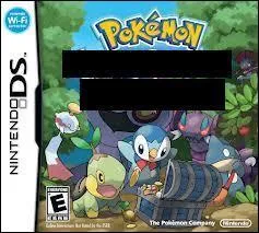 Quel est le nom de ce jeu Pokmon sur DS ?