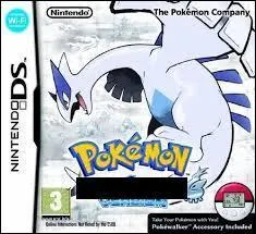 Quel est le nom de ce jeu Pokmon sur DS ?
