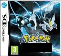 Quel est le nom de ce jeu Pokmon sur DS ?