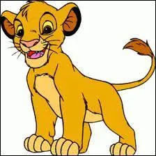 C'est le nouveau Roi lion. Comment s'appelle le bb du lion ?