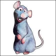 Trouve la bonne orthographe du nom de cette petite souris .