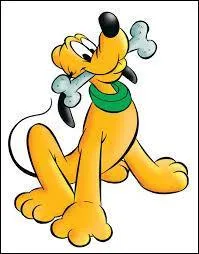 Comment s'appelle ce chien, ami de Mickey ?