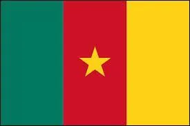 A quel pays appartient ce drapeau ?