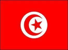 A quel pays appartient ce drapeau ?