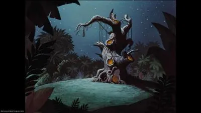 O le repaire de Peter Pan se situe-t-il ?