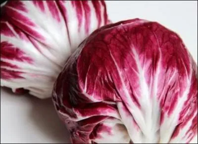 Des ctes blanches, des feuilles croquantes d'un beau rouge vineux, et lgrement amres pour une salade en tenue lgante :