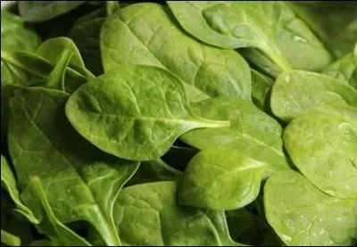 Quelles sont ces tendres pousses ?