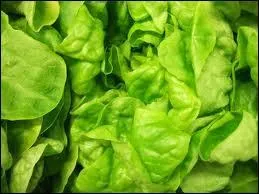 La tendresse d'une belle blonde  la saveur raffine.