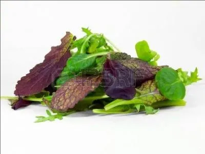 Vous avez reconnu le  mesclun  ou mlange de diverses pousses de salades. Pour pouvoir porter ce nom, combien de varits ce mlange doit-il contenir ?