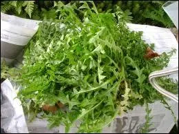 Prparez donc une salade avec quelques lardons et crotons de pain rissols lorsque les premires pousses apparaissent au printemps.