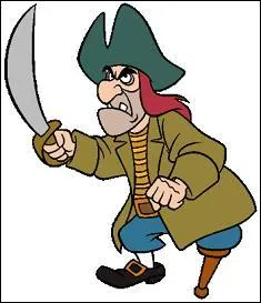 Comment ce pirate s'appelle-t-il ?