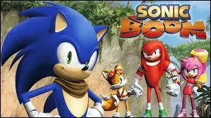 Qui est l'ennemi de Sonic, Amy, Tails et Knuckles ?