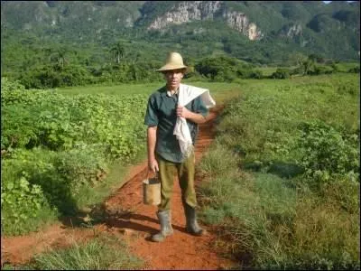 Qui chantait "Il a fait le tour de la terre, il a même demandé à Dieu, il a fait tout l'amour de la terre, il n'a pas trouvé mieux ... " ?