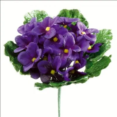 Trouve le nom de la srie tlvise grce au bouquet de fleurs !