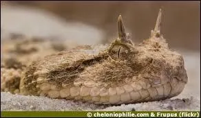 Elle est  l'origine de plusieurs dcs en Afrique .