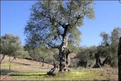 Ici, un individu g, tordu, mais toujours fier.