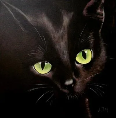 Les malfices du chat noir ont la vie dure. O sont nes la plupart des superstitions lies au chat noir ?